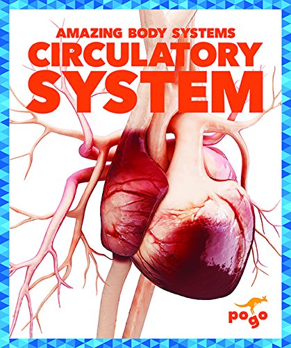 Circulatory System
