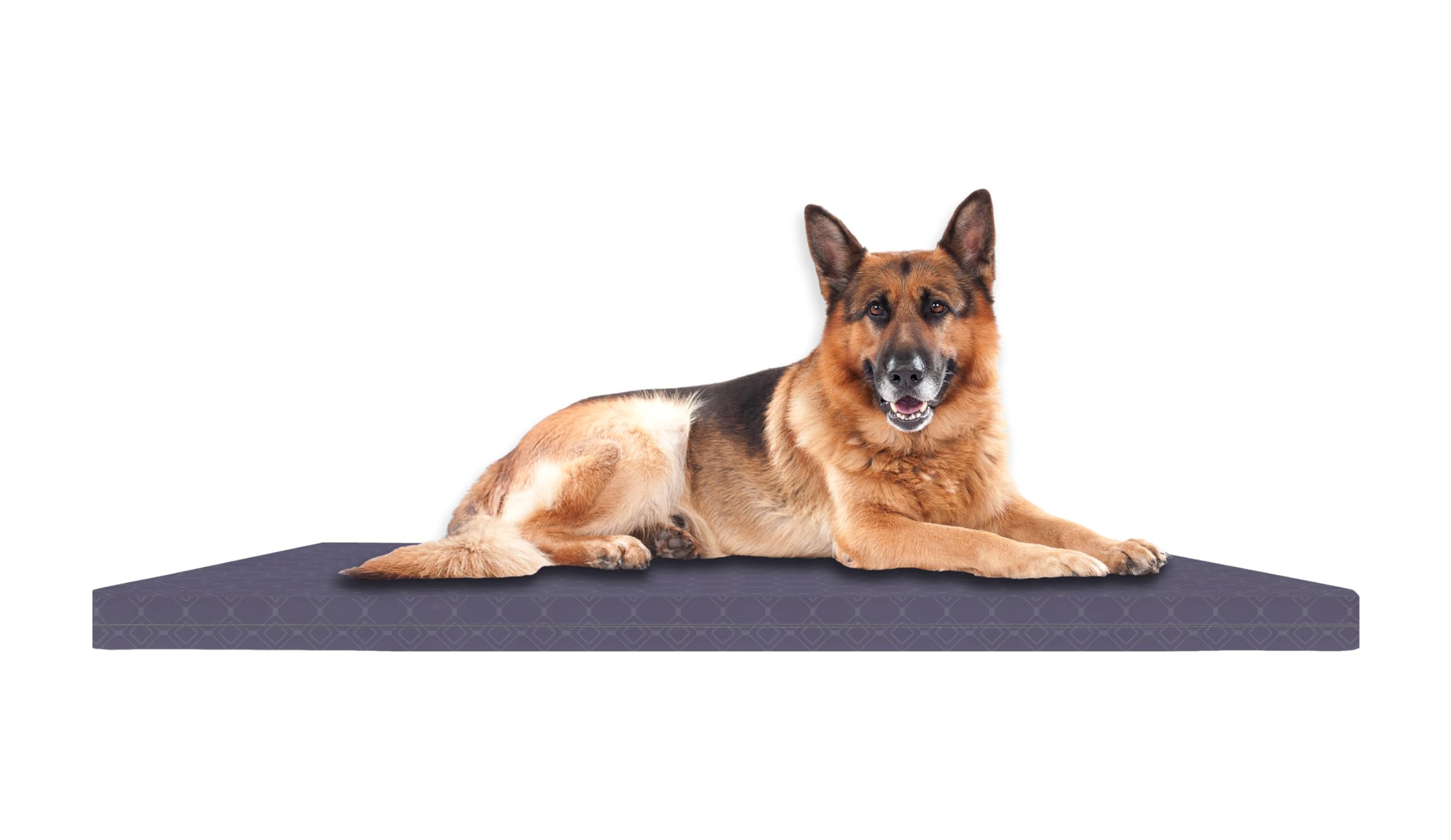 SAPPHIRE Dog Bed, Waterproof Orthopedic Mattress for Large Dogs, Soft Bed with Washable Cover, Dog Mat FR Approved, Grey, Medium 60 x 90 x 5.5 cm