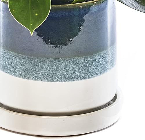 Miniatura 10 de CHIVE - Minuto, suculento, maceta de cactus y platillo de cerámica para flores y plantas con orificio de drenaje y platillo desmontable, ideal para