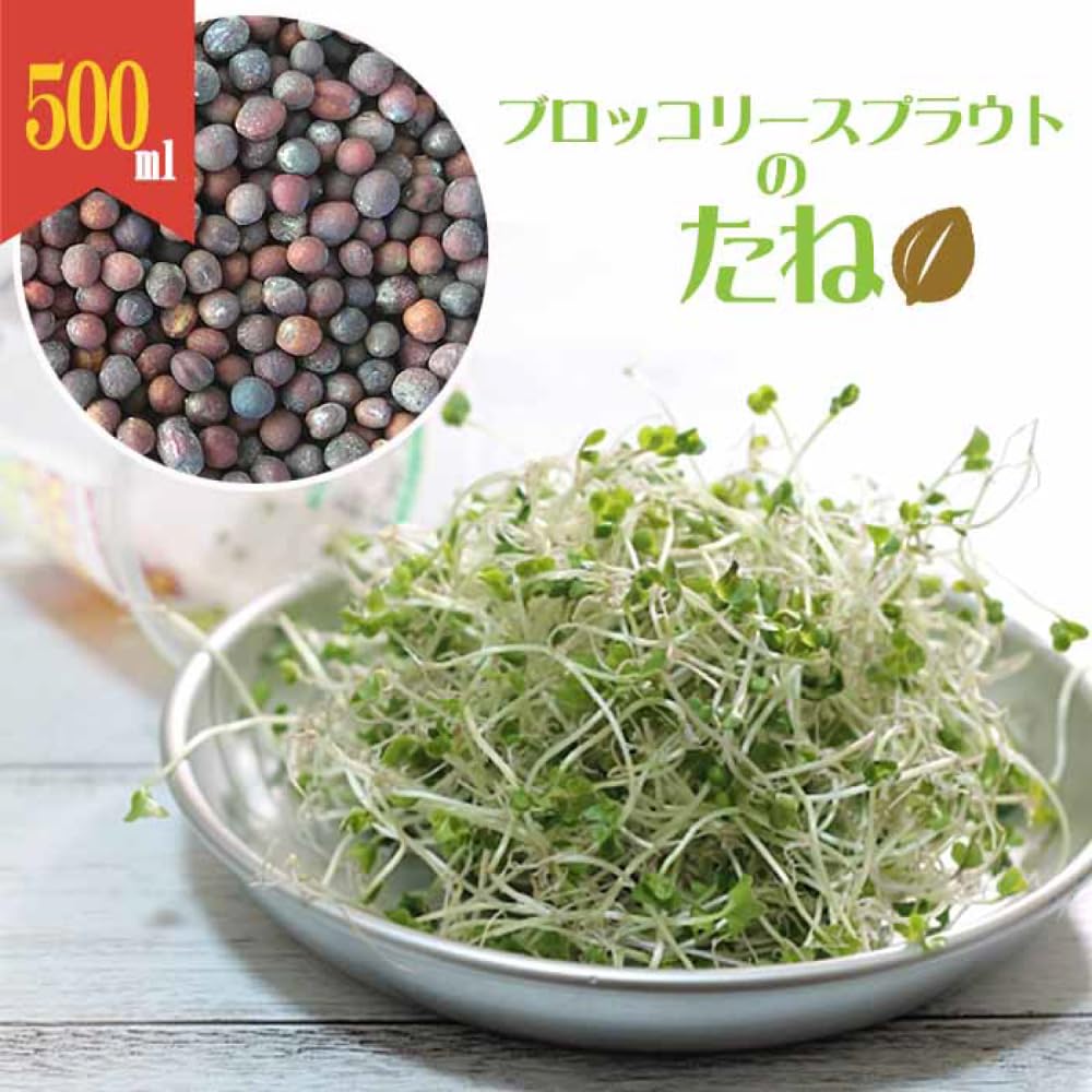Amazon.co.jp: ブロッコリースプラウト 種 500ml（種子のみ・簡単栽培