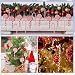 Imagen de JSTHHTT 25 Piezas Bastón de Caramelo de Navidad