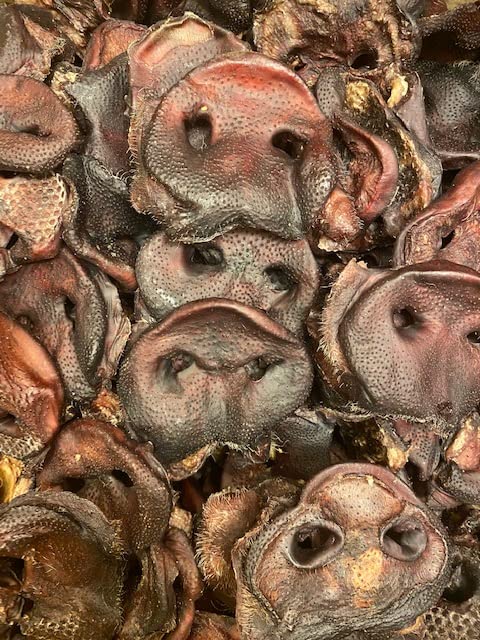PAWS PARADISE 1kg x QUALITY BRITISH GRADE A PIGS SNOUTS