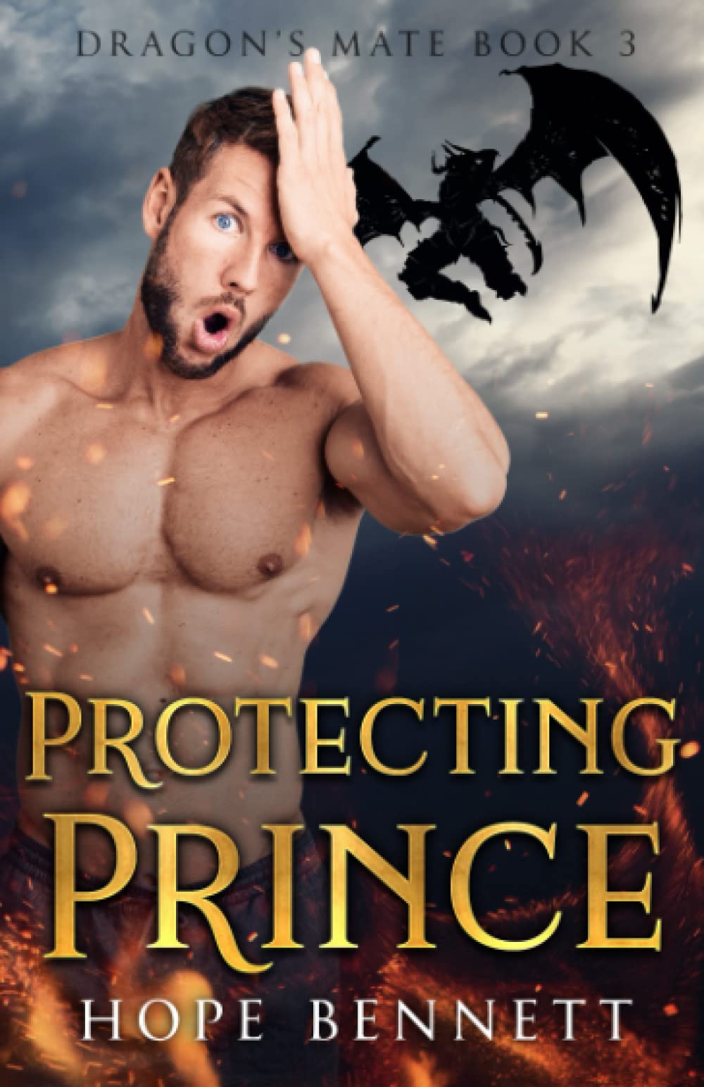 Protecting Prince: a sweet shifter mm romance (Dragon's Mate (Complete series))