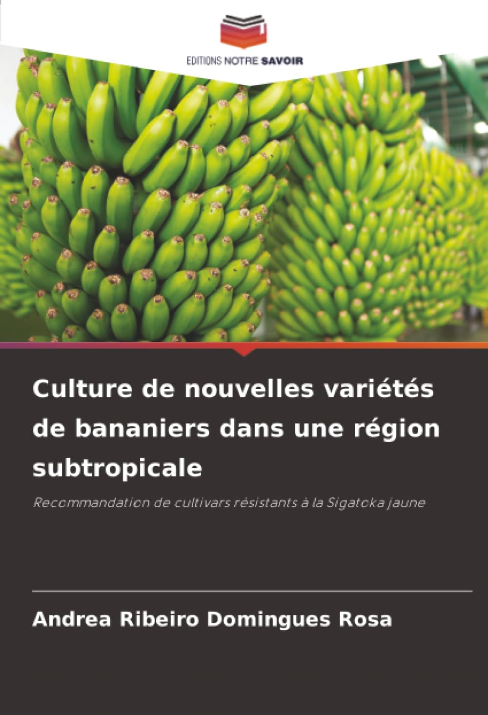 Culture de nouvelles variétés de bananiers dans une région subtropicale: Recommandation de cultivars résistants à la Sigatoka jaune