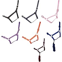 GALLOP Basic Nylon Headcollar and Lead Rope Set, Pony Size, Red