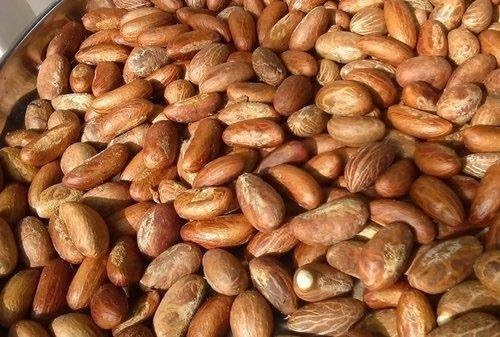 Bitter Kola Nut (Cola Nuts) Fresh Garcinia Kola Approx 400g …