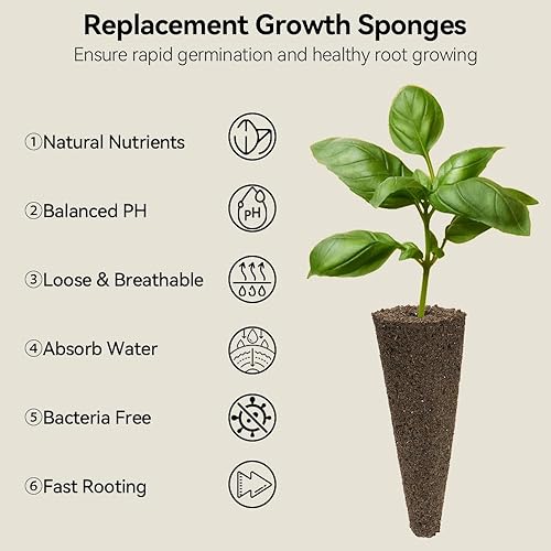 Miniatura 5 de inbloom Kit de vainas de semillas verdes para sistema de cultivo hidropónico, 7 cápsulas (más de 350 semillas con lechuga American FastParis