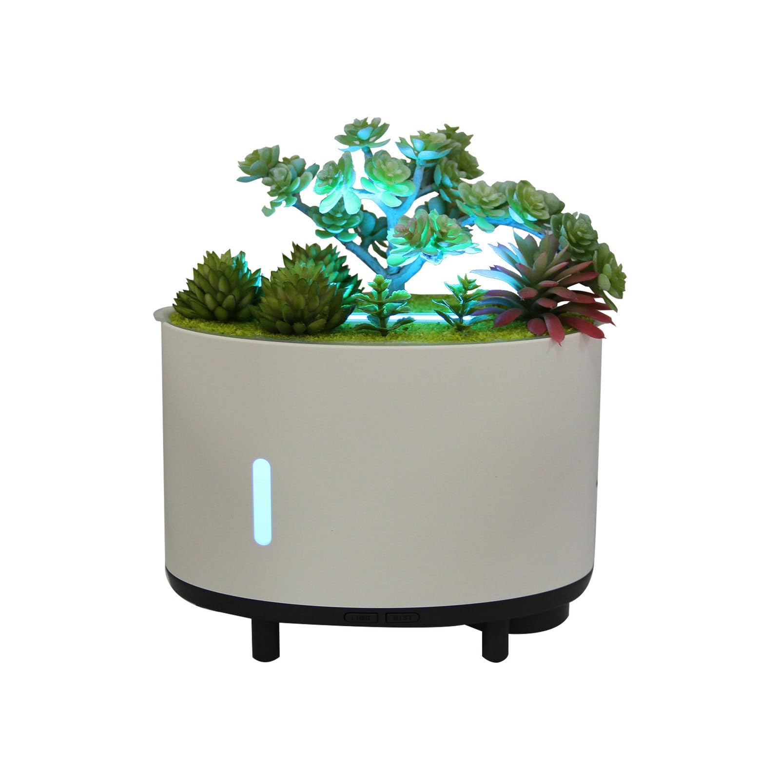 hKjPlvf Diffusore Pianta Artificiale Umidificatore Aroma USB 200ml Luce LED Cambio Colore Cassa Bluetooth Camera Letto Ufficio Yoga Regalo Compleanno C