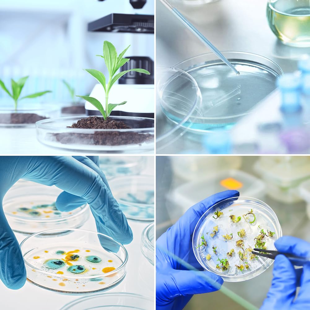 Piastra Petri,Petri Dishes,Piastra Petri in Plastica,Piatti Petri in Vetro, per Cultura di Laboratorio Lievito Batterico,10 con 2 Pipette di Trasferimento per Cultura di Laboratorio Lievito Batterico