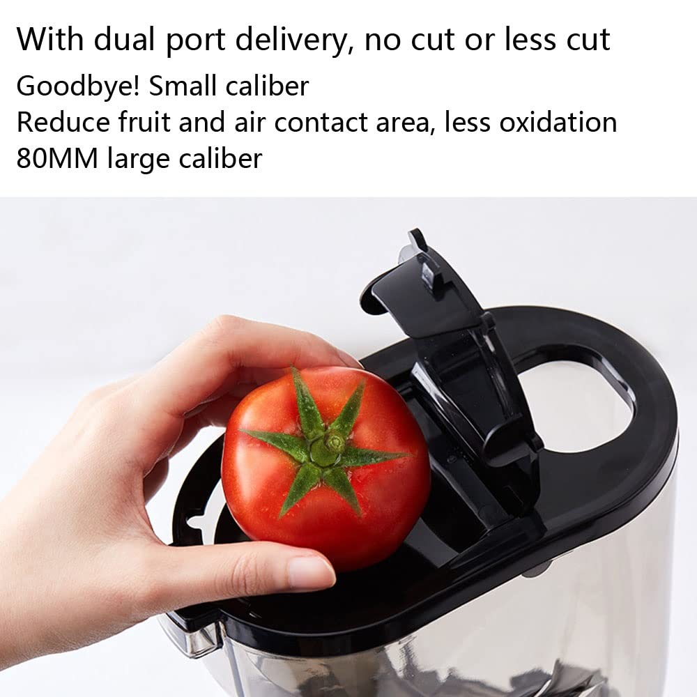 Estrattore Di Spremiagrumi A Masticazione Lenta A Scivolo Largo Macchina Per Spremiagrumi A Freddo Spremiagrumi Verticale Con Motore Silenzioso & Funzione Inversa Per Frutta E Succo Di Verdura