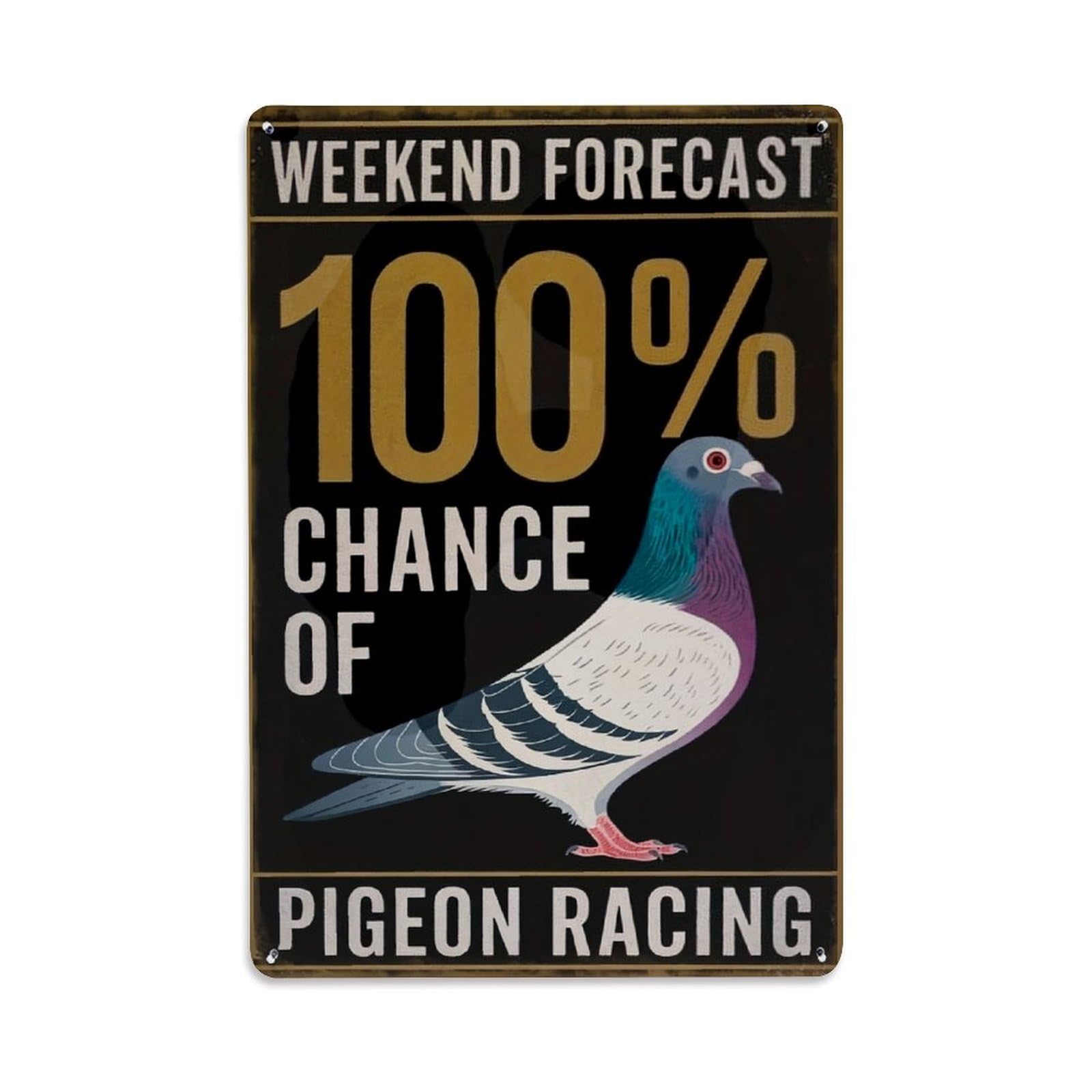 Jdfenggu Vintage Weekend Forecast Pigeon Racing Poster Retro Metal Tin Sign, Metal Poster For Bar, Home, Man Cave, Kitchen, Laundry Room Art Decor 8X12 Inch