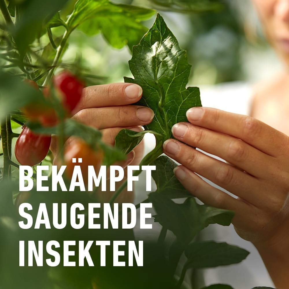 COMPO Schädlings-frei plus AF - Spray gegen Blattläuse, Schildläuse, Wollläuse, Buchsbaumzünsler &amp; Co. - für Zierpflanzen und Kernobst - 500 ml - anwendungsfertiges Insektizid