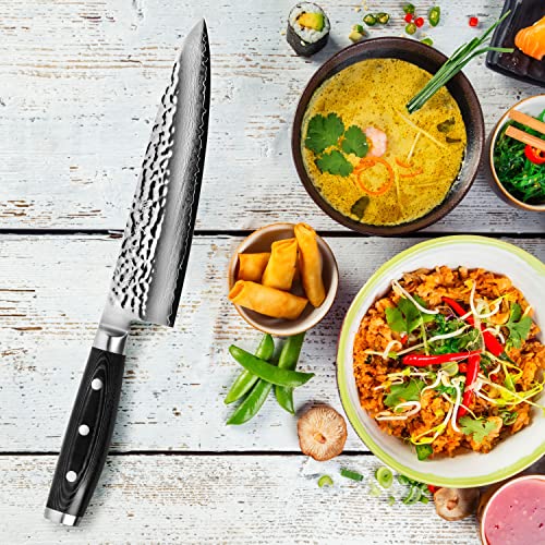 Enso Chef's Knife - Made In Japan - Hd Series - Vg10 Hammered Damascus Stainless Steel Gyuto - 8" #TOP1