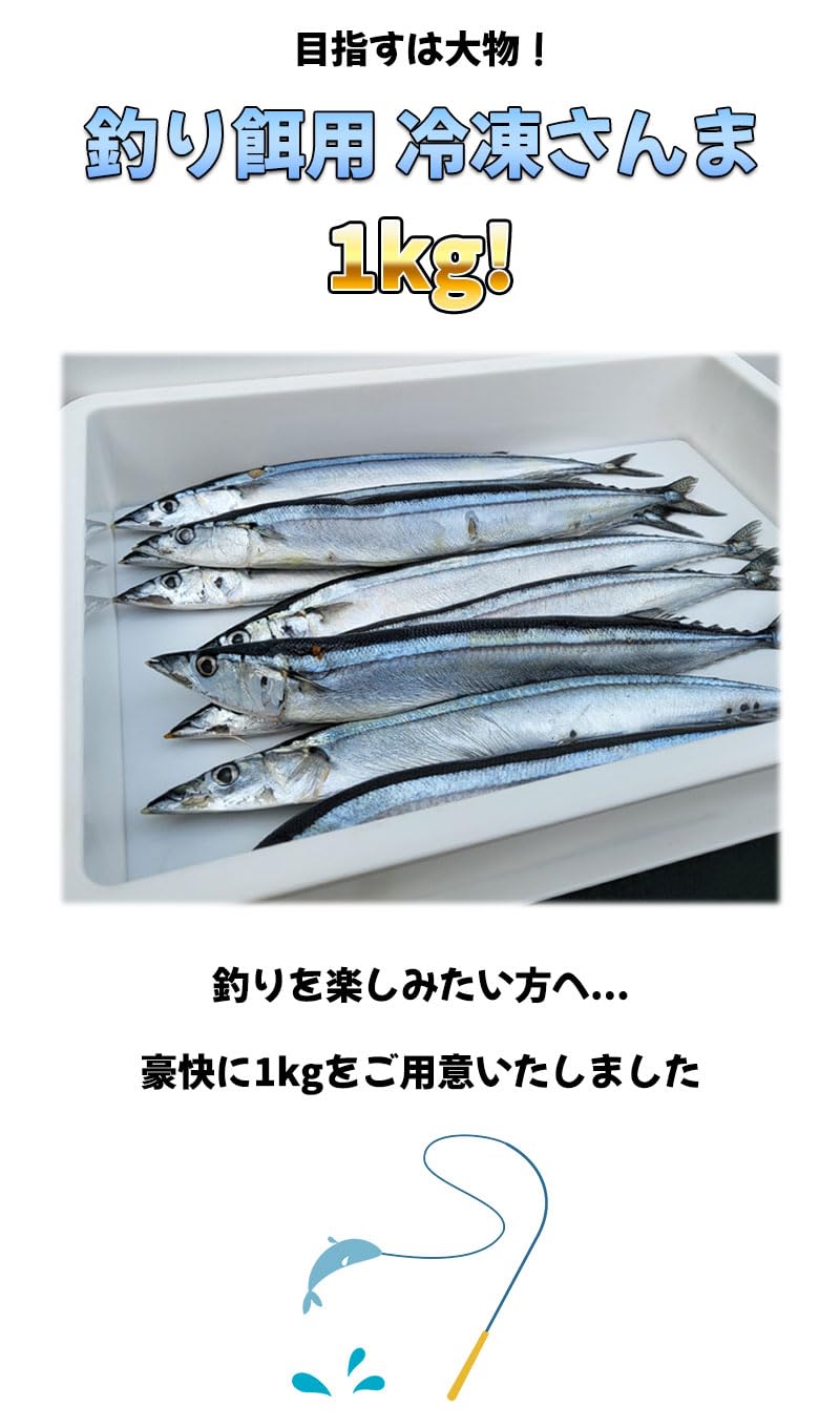 Amazon.co.jp: 網元大将 釣りえさ用 生さんま1kg【食用不可】 冷凍
