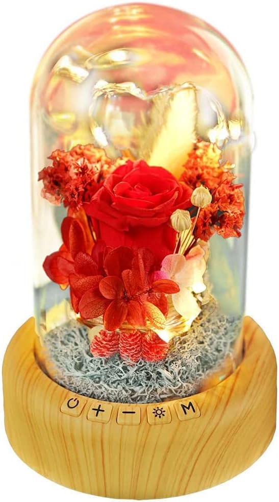 SWEETIME Mother's Day Red Rose Night Light Real Eternal in Glass Dome, Preserved Rose Flower Lamp with Speaker,Forever Flowers Gift for Mom, Wife, Girlfriend on Mother's Day