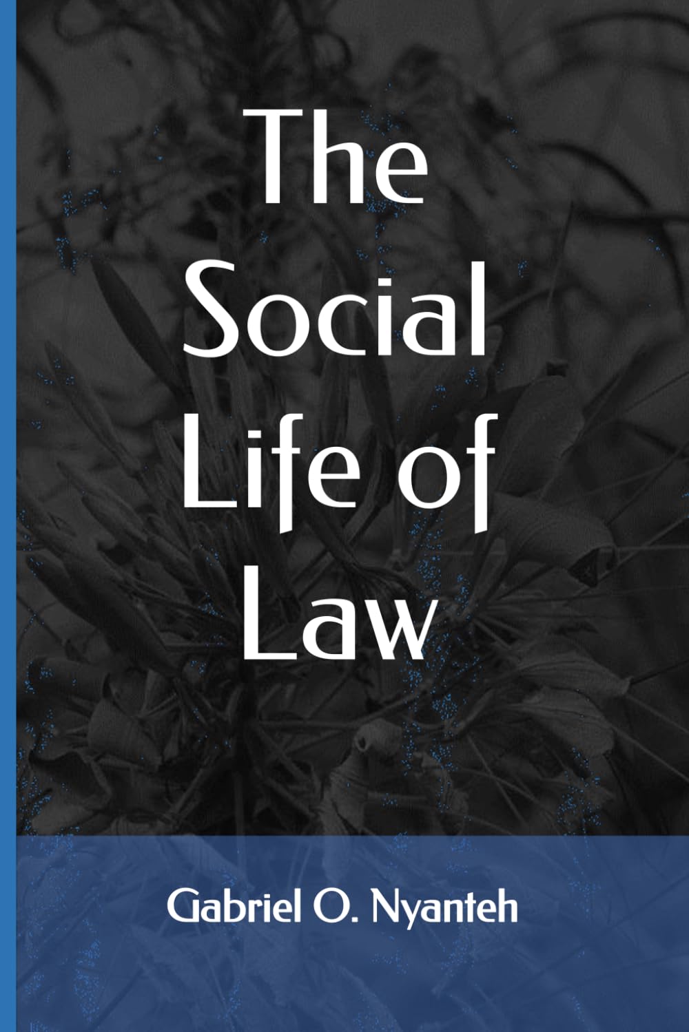 The Social Life of Law