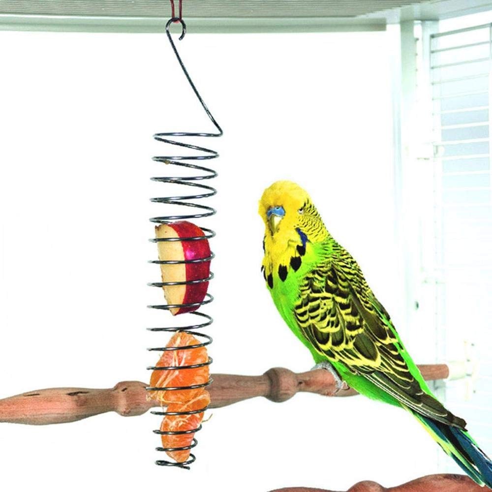 Uteruik Bird Foraging Toy Parrot Treat Fruit Vegetable Holder Hanging Seed Feeder for Budgie Parakeet Cockatiel Conure Rat Chinchilla Guinea Cage Food Tool, 1pcs