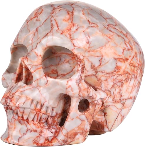 Miniatura 6 de MR.SKULL Estatua de calavera de cristal de jaspe de red de 5.0 pulgadas, súper realista, piedra curativa de cristal, escultura de piedra preciosa