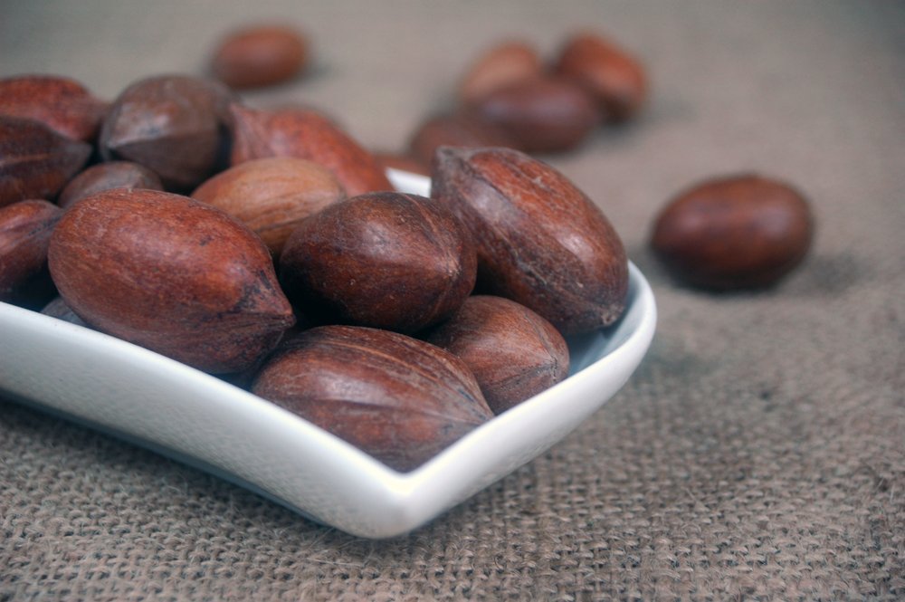 Naturix24 – Pekannüsse in der Schale – 1 Kg-Beutel