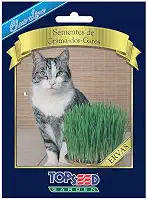 Semente Topseed Grama dos Gatos Blueline
