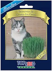 Semente Topseed Grama dos Gatos Blueline