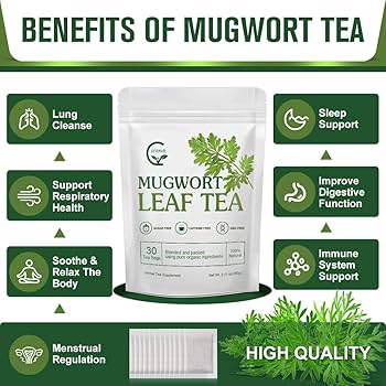 mugwort benefits () mugwort benefits