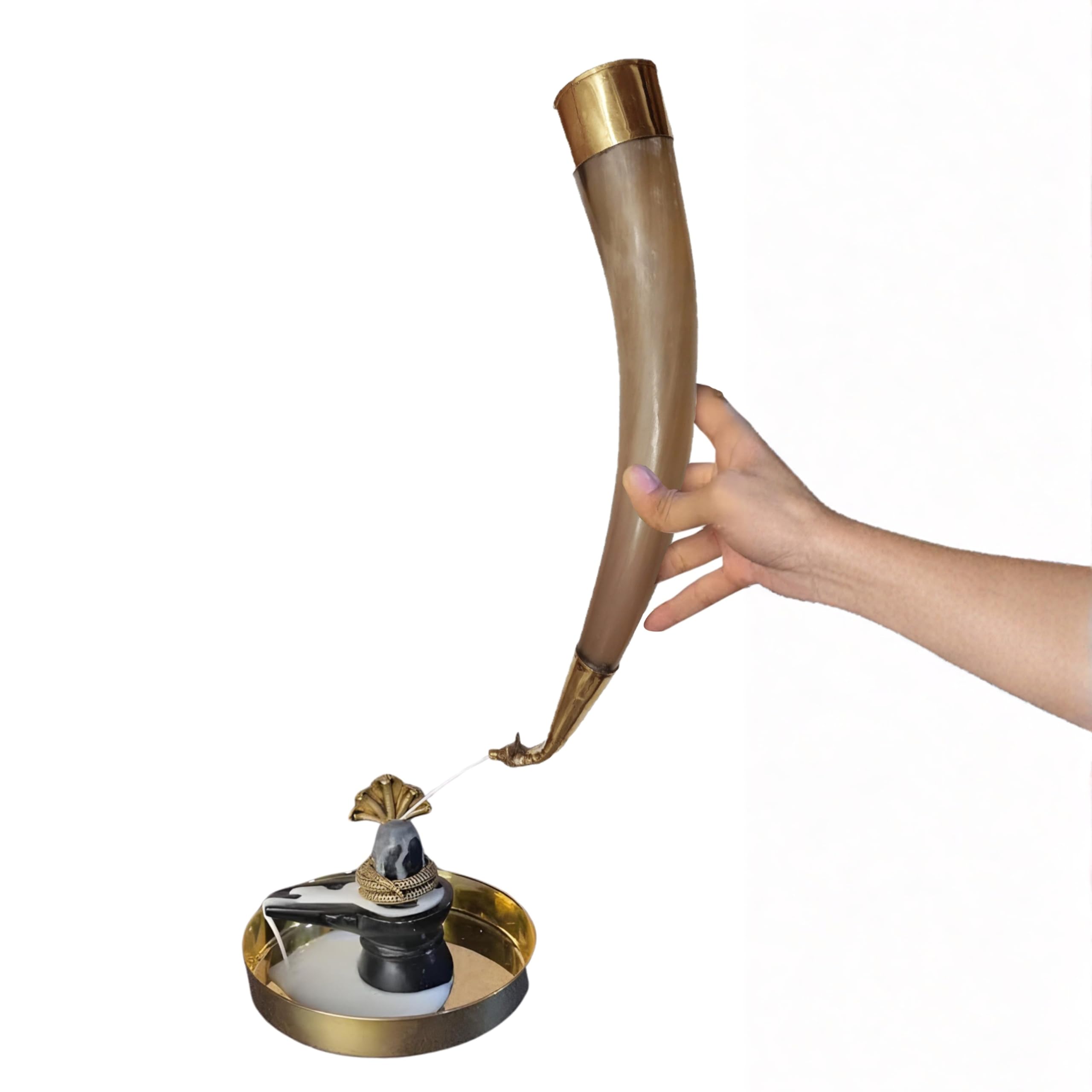 Divinely Inspired Gaumukhi Shringi Nandi with horn Handcrafted with Natural Horn & Brass Gomukhi shringi for abhishek puja use Natural Bull horn with brass shringi use Puja 40cm long