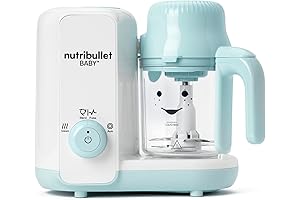 Essential Baby Bullet Blender