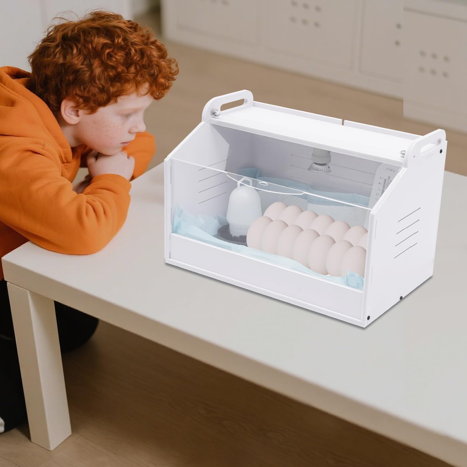 Kükenwärmebox Inkubatoren 20 Eier Kükenhaus Brutinkubator