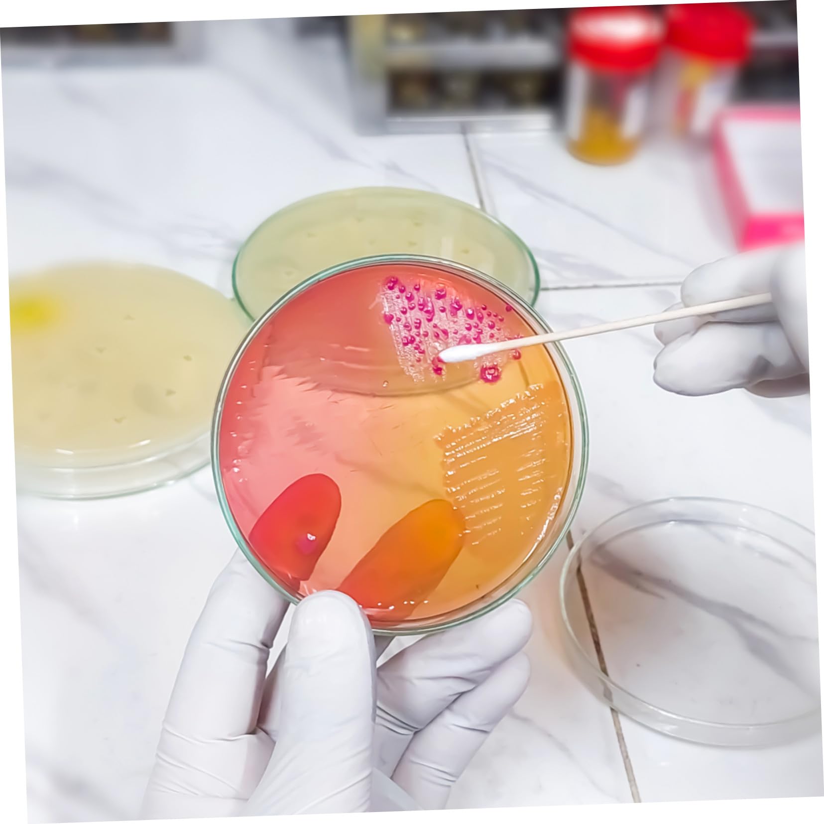 Vorbereitete Agar Petrischalen 20 Stück, 7cm für Labor