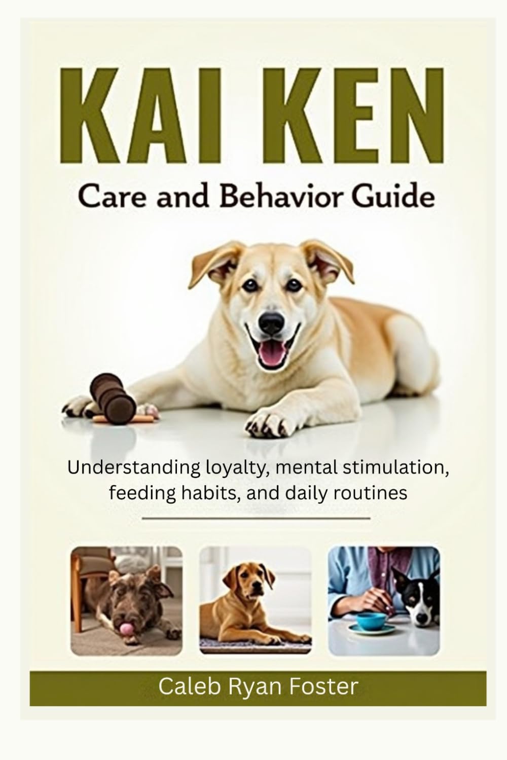 Kai Ken Care and Behavior Guide: Understanding loyalty, mental stimulation, feeding habits, and daily routines