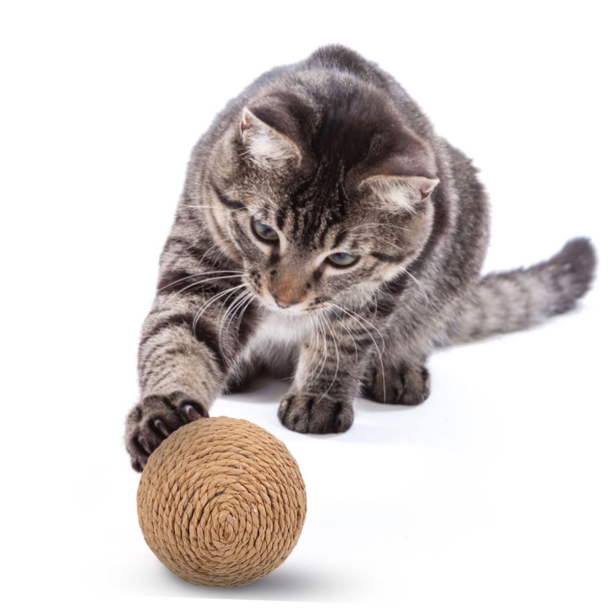 Supvox 6stücke Interaktive Katzenspielzeuge Große Jute-Rope-kratzbälle Für Katzen Strapazierfähig Unterhaltsam Und Kratzen Hält Ihre Katze Und