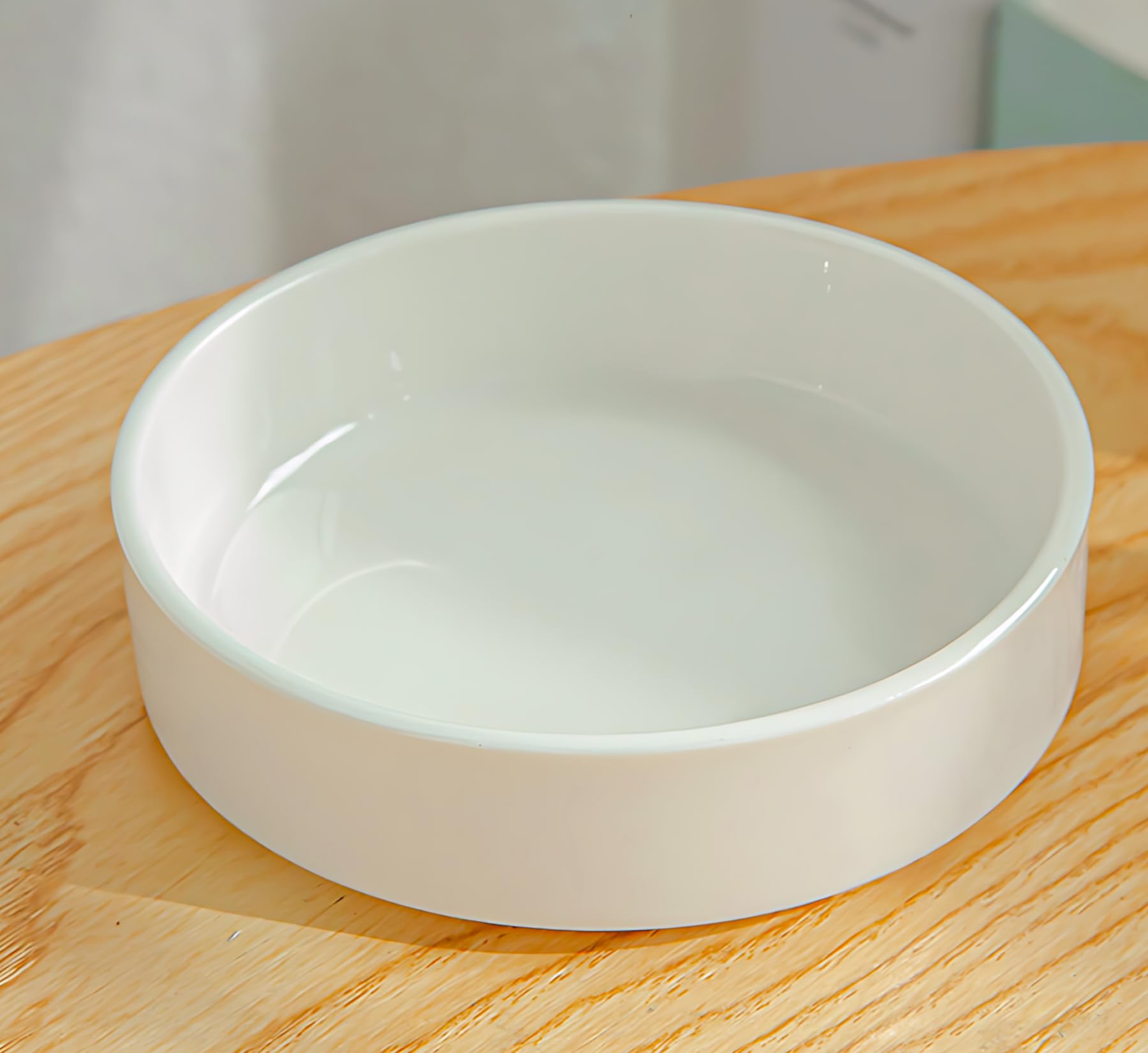 Amazon.com : Ceramic Plant Saucer Plant Water Catcher Tray for