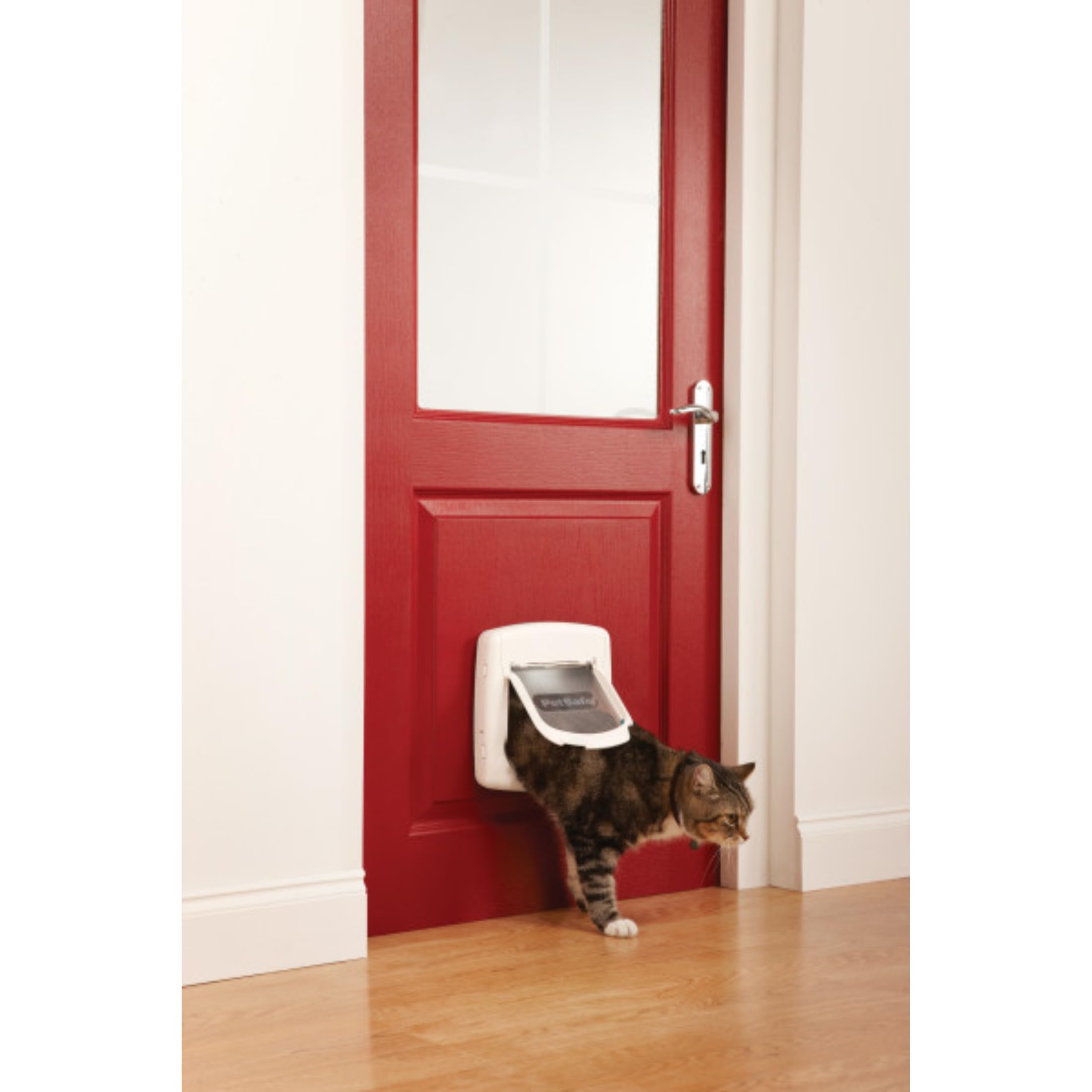 Petsafe Staywell Luxus Drzwiczki dla Kotów, Biały, 24,1 x 25,2 cm