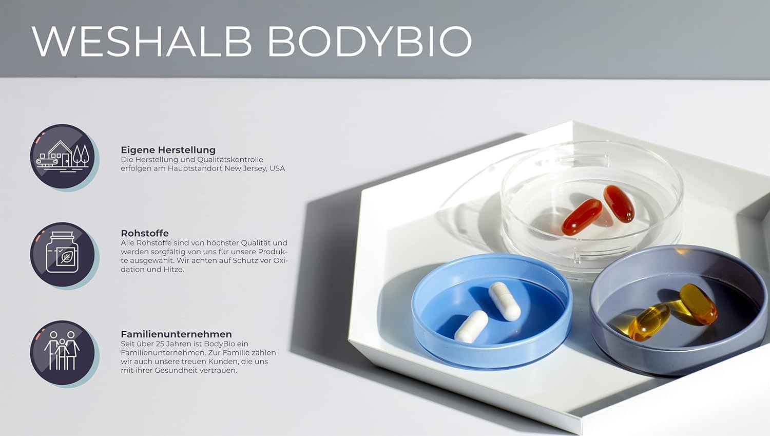 BodyBio PC Phospholipidkomplex liposomal 100 Kapseln - 173g (Phosphatidylcholin und andere Phospholipide)