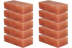 Himalayan Salt Bricks for Wall - Size 8x4x2: Culinary Salt for Improved Indoor Air Quality