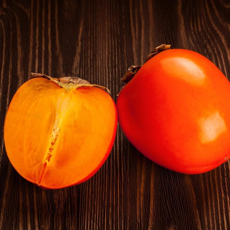 Persimmon Tree 2-3 Feet Tall, Fruit Tree Plant for Outdoor Garden, Sweet Persimmon Well Rooted for Growing, No Ship to CA