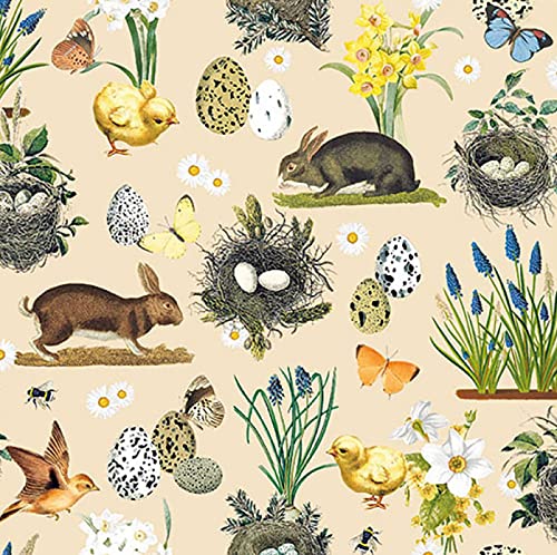20-ct 6.5 Easter Napkins Easter Bunny Napkins Easter Paper Napkins Easter Cocktail Napkins Decorative Napkins for Decoupage Pretty Easter Beverage Napkins Easter Dinner Lunch Napkins Disposable