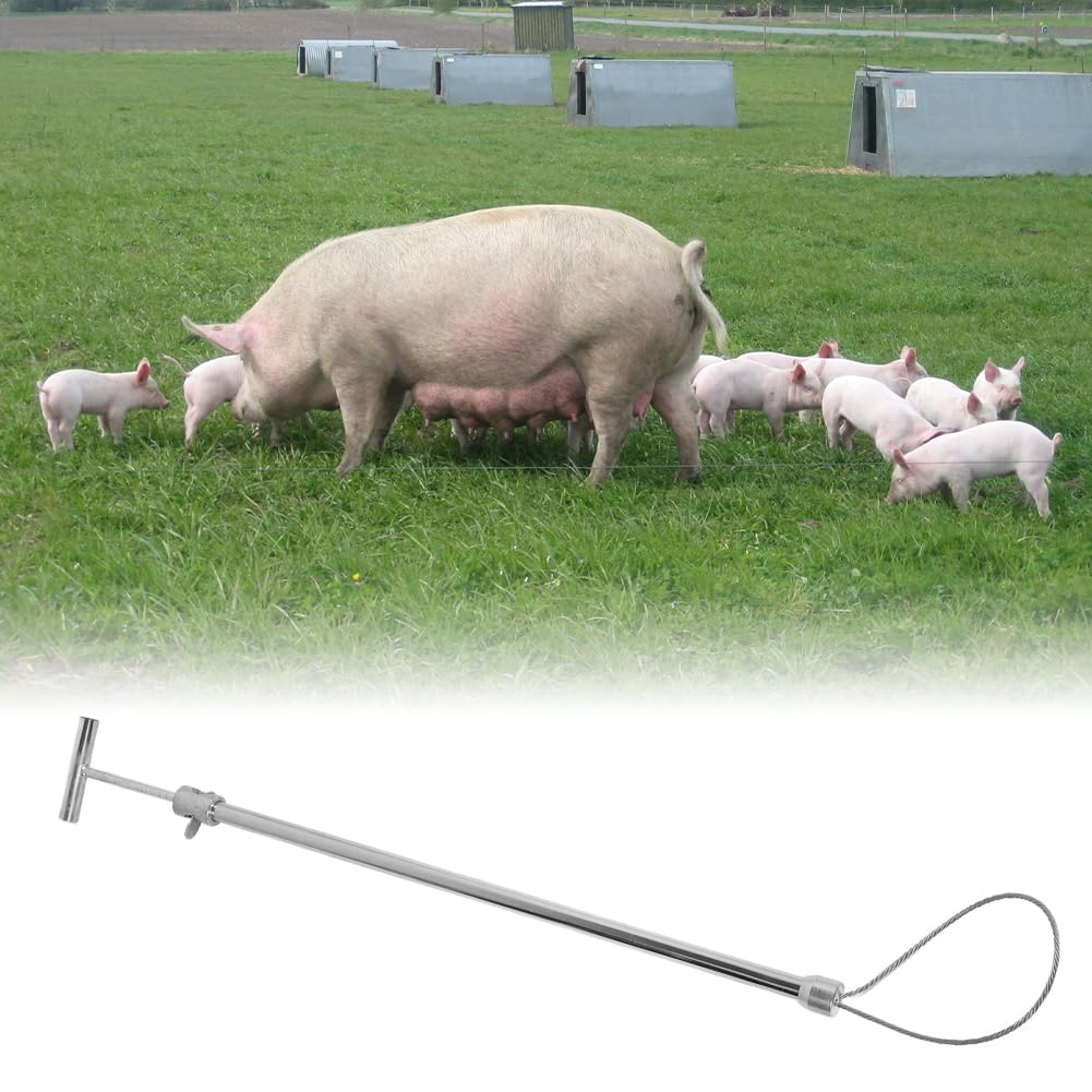 Schweinefangstange Edelstahl Tier-Fixierhilfe verstellbar 67-114cm | Ergonomischer Griff für Einhandbedienung robuste 4mm Drahtschlaufe sichere und stressfreie Fixierung bei der Behandlung