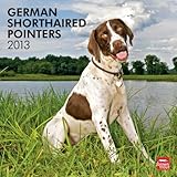 Brown Trout-Auslieferer Flechsig