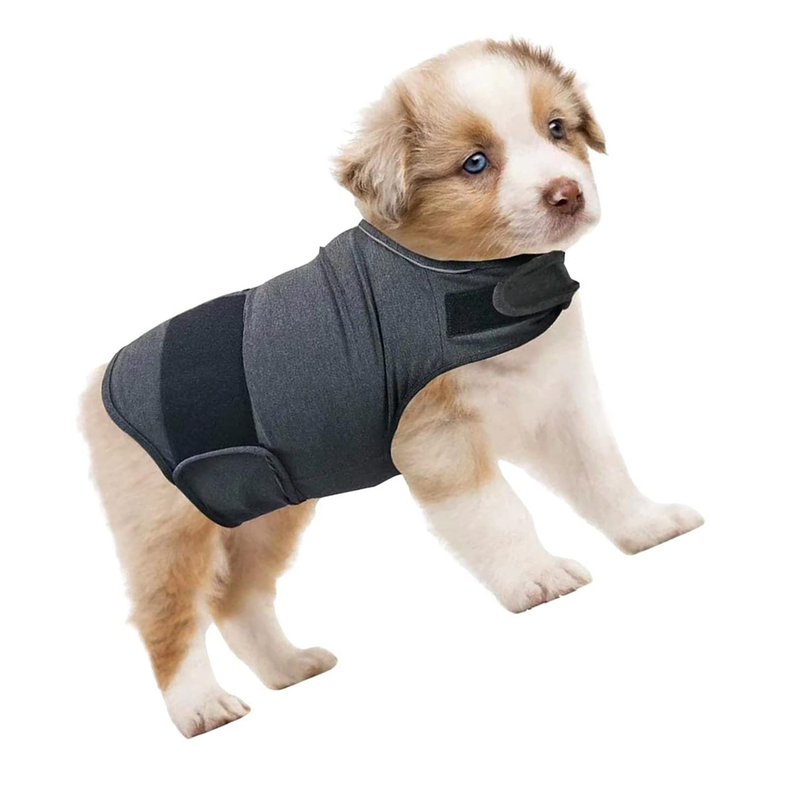Thundershirt 犬用不安緩和ベスト グレー大型犬用 Amazon | 犬用抗不安ベスト、犬用鎮静ベスト、小型犬用｜犬用サンダー