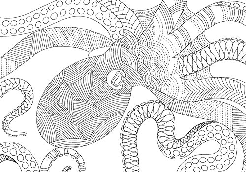 Decorando sua casa com o reino animal