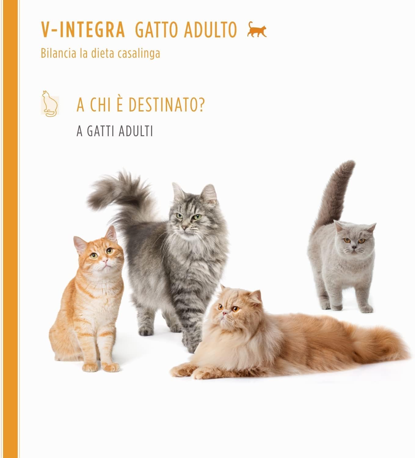 V-INTEGRA Gatto Adulto - Integratore Completo Ricco di Vitamine e Minerali, per la Dieta Casalinga di gatti adulti di tutte le età - 200g - Made in Italy