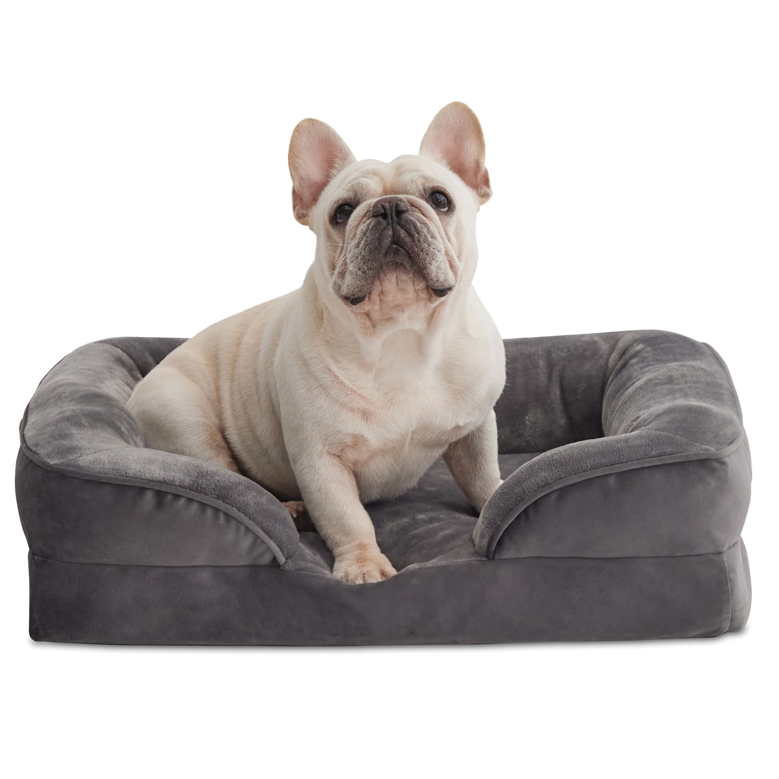 WAVVE Cuccia Cane Interno Taglia Piccola Cuscino Sfoderabile e Lavabile Cuccia Ortopedica Impermeabile Grigio