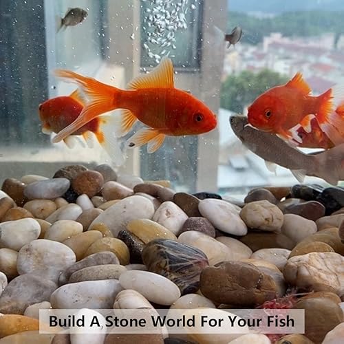 Miniatura 6 de YISZM Piedras blancas decorativas naturales de 5 libras, piedras de roca de río pulidas de 0.7 a 1.2 pulgadas para plantas, jarrón, pecera,