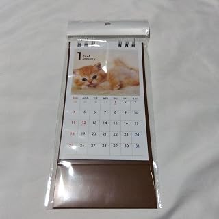 猫 2026年 卓上カレンダー