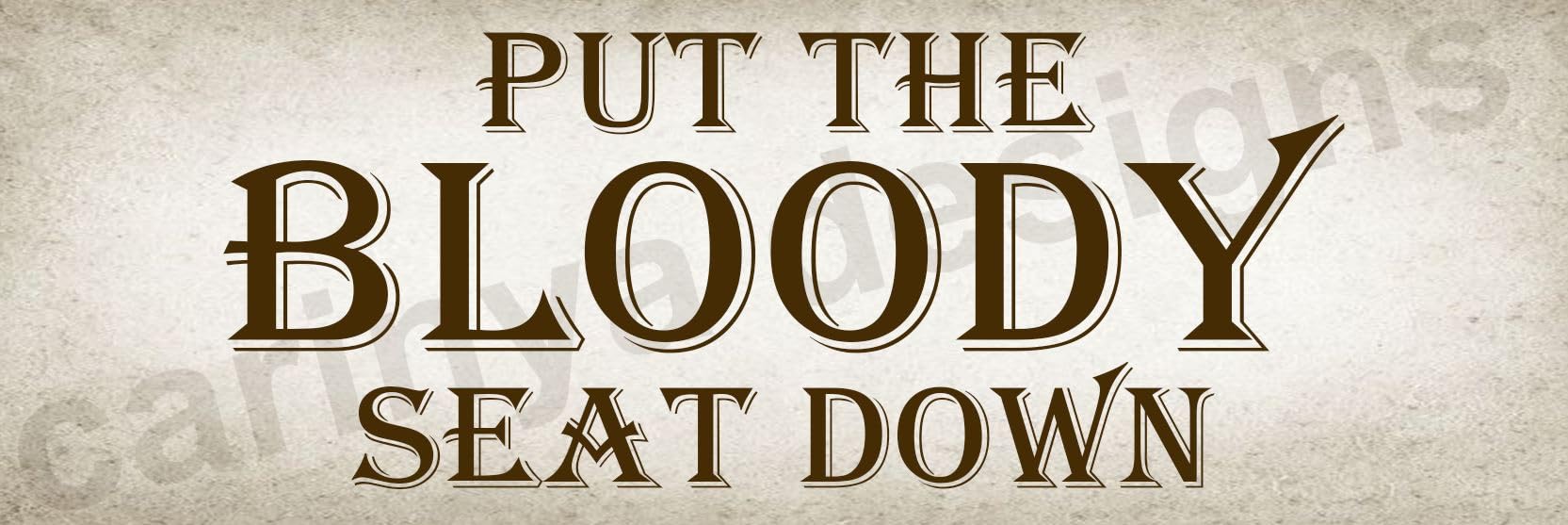 Put The Bloody Seat Down Funny Novelty Metal Sign Plaque Gift Bathroom Loo Him (Aluminium Small (280x90mm) Approx)