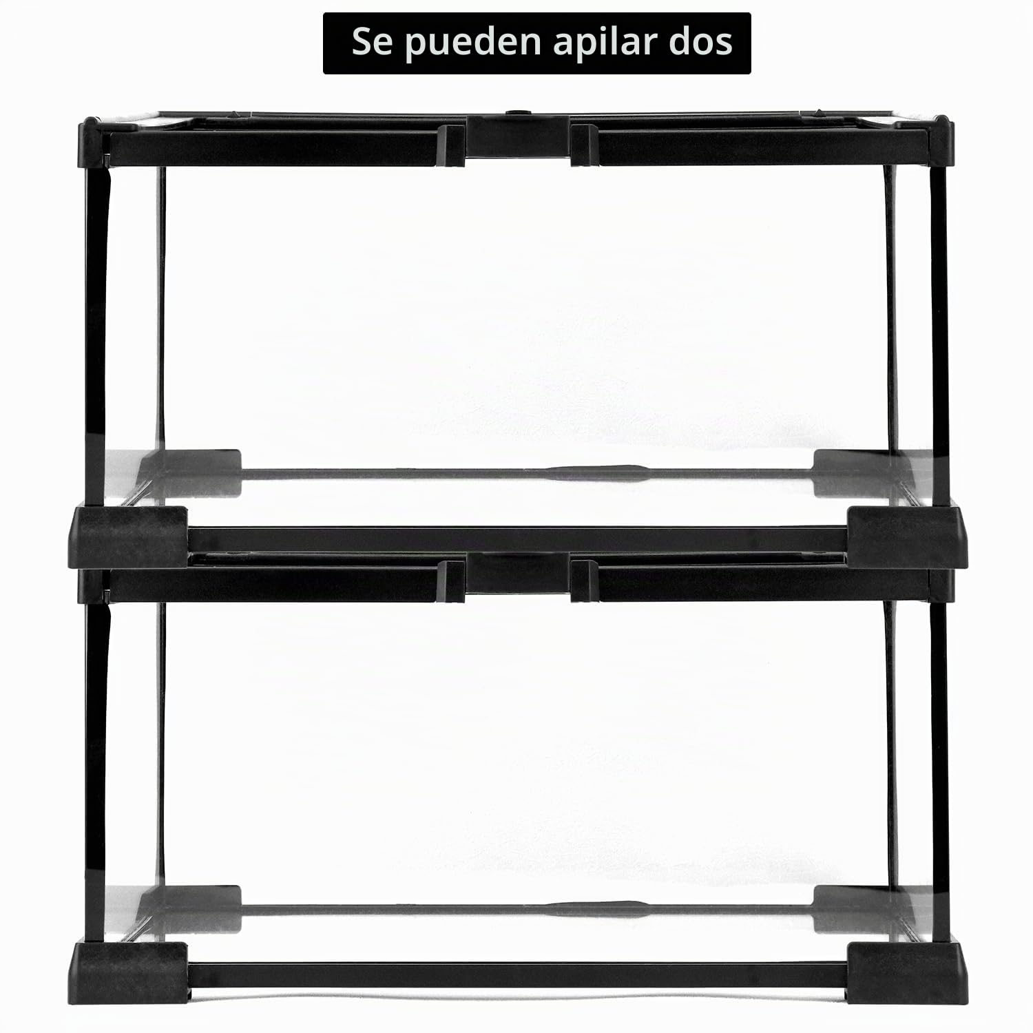 QWORK® Caja de alimentación para Reptiles, Reptile Growth terrario de Vidrio, 30 * 20 * 15 cm para una Variedad de Reptiles e Insectos