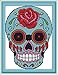 Good Value Cross Stitch Kits Beginners Kids Advanced -Skull 11 CT 11"X15", DIY Handmade Needlework Set Cross-Stitching Accurate Stamped Patterns Embroidery Home Decoration Frameless