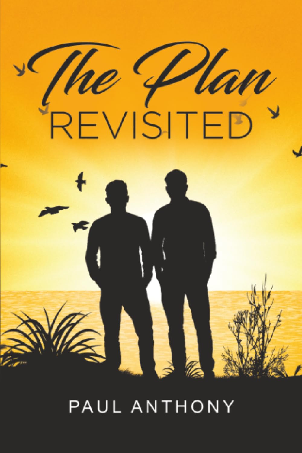 The Plan Revisited by Paul Anthony (Paperback Book)